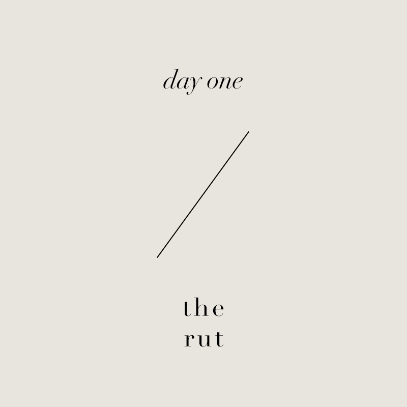 Day 1 • The Gift