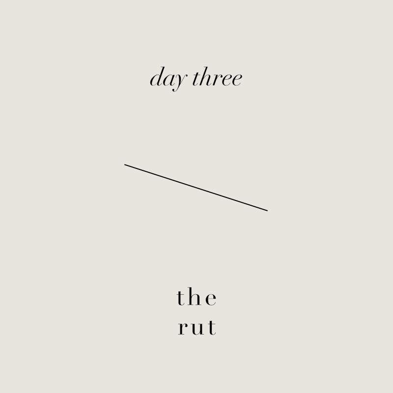 Day 3 • The Silver Lining