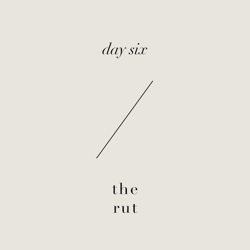 Day 6 • Finding &amp; Rebuilding Worth
