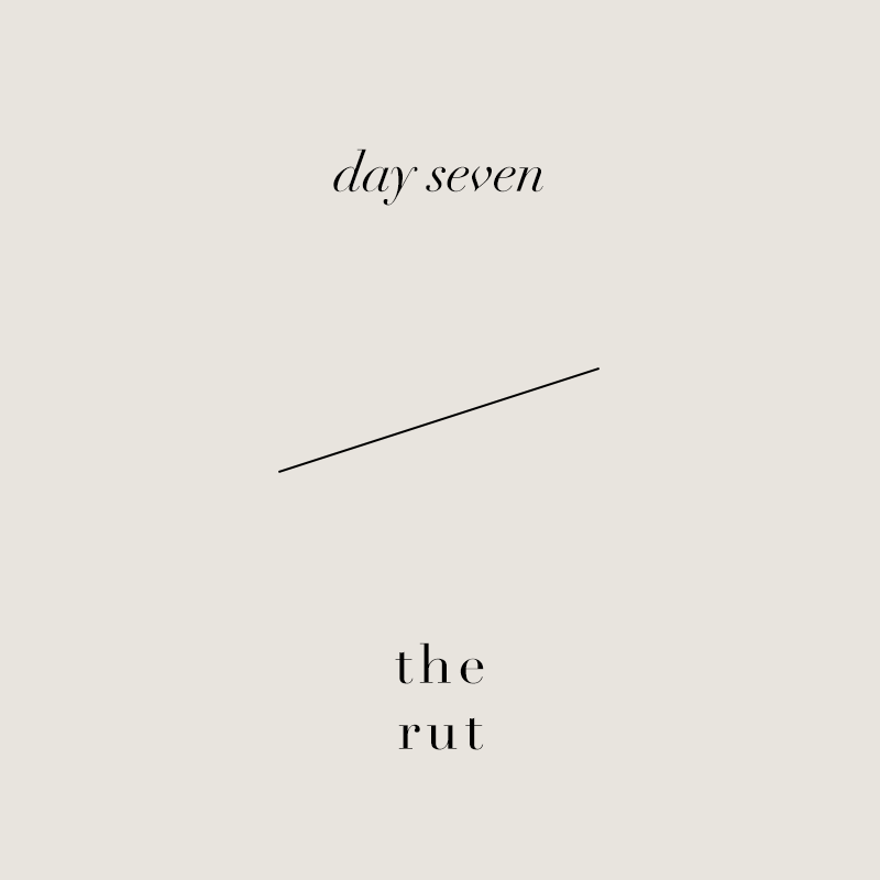 Day 7 • Expanders