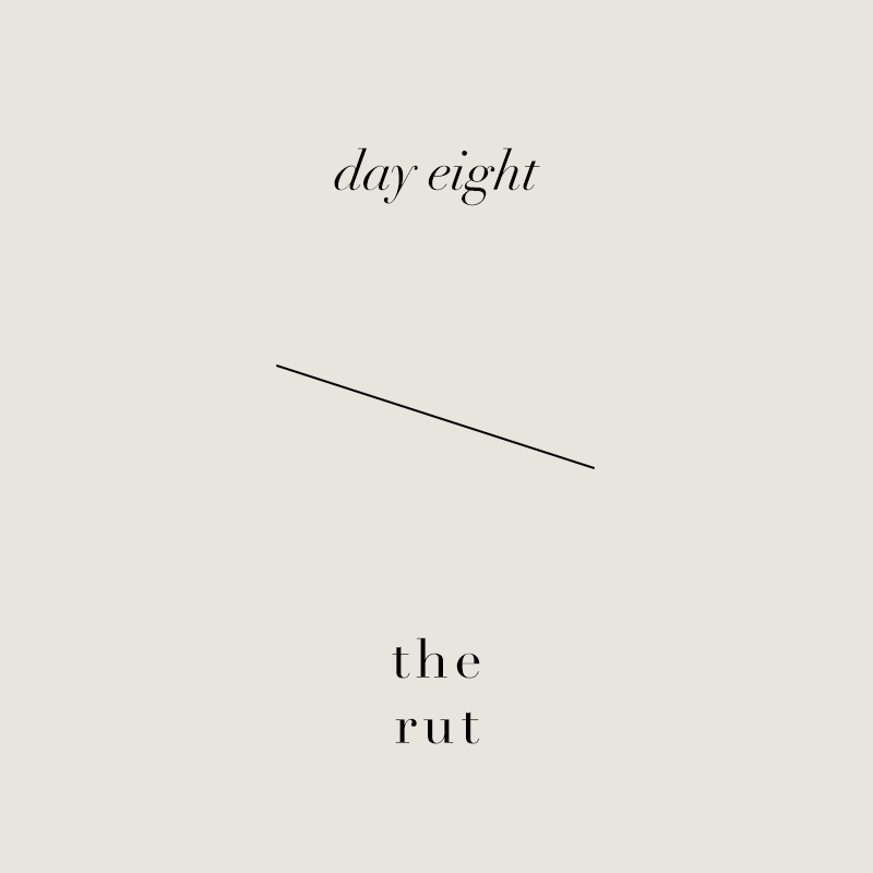 Day 8 • Reinforcing/Tool