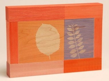 frond1-380x282.jpeg