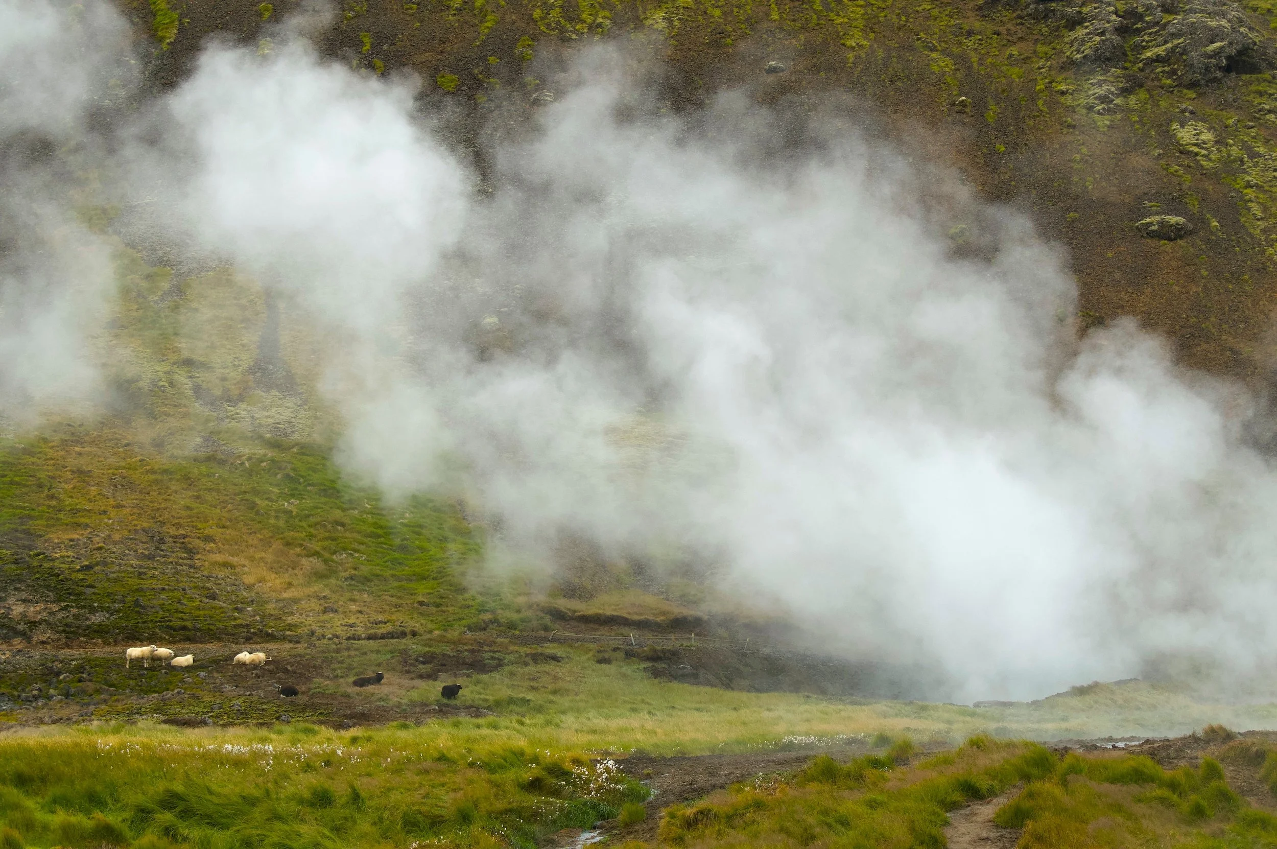 #iceland