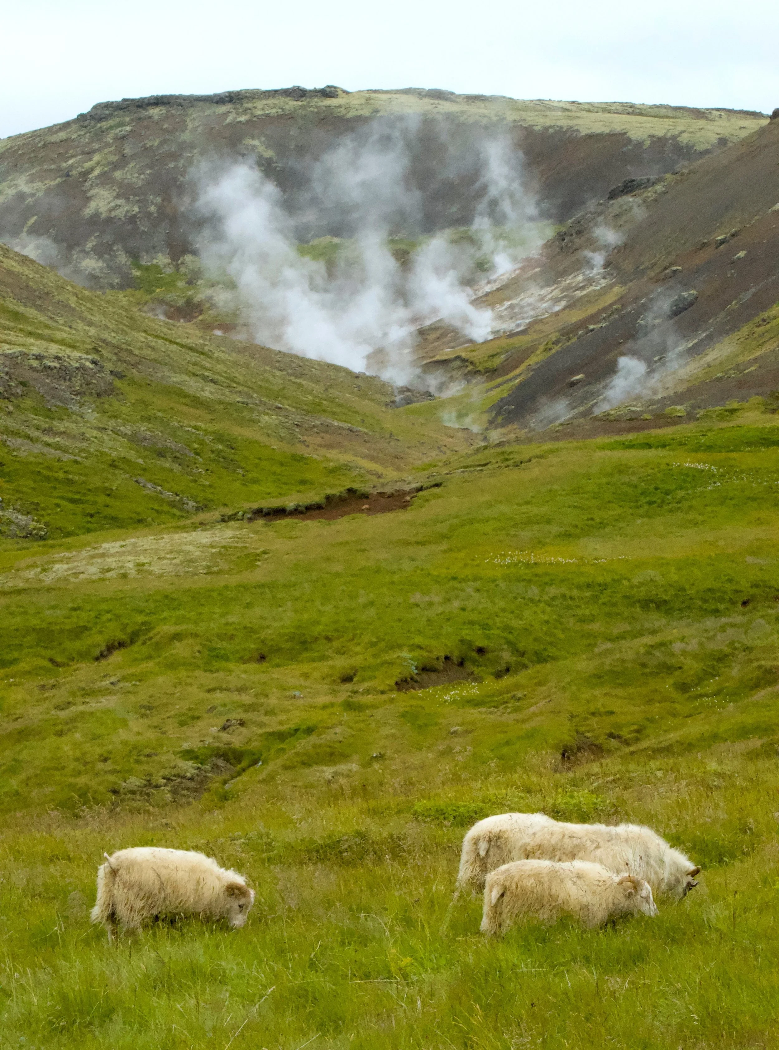 #iceland