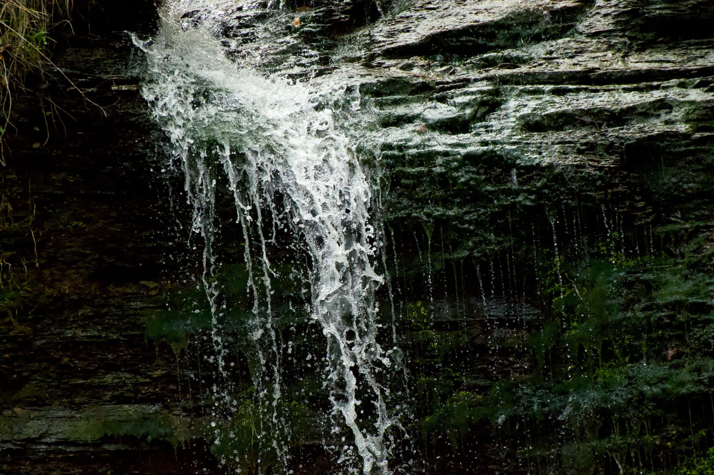 DSC_0223 copy.jpeg