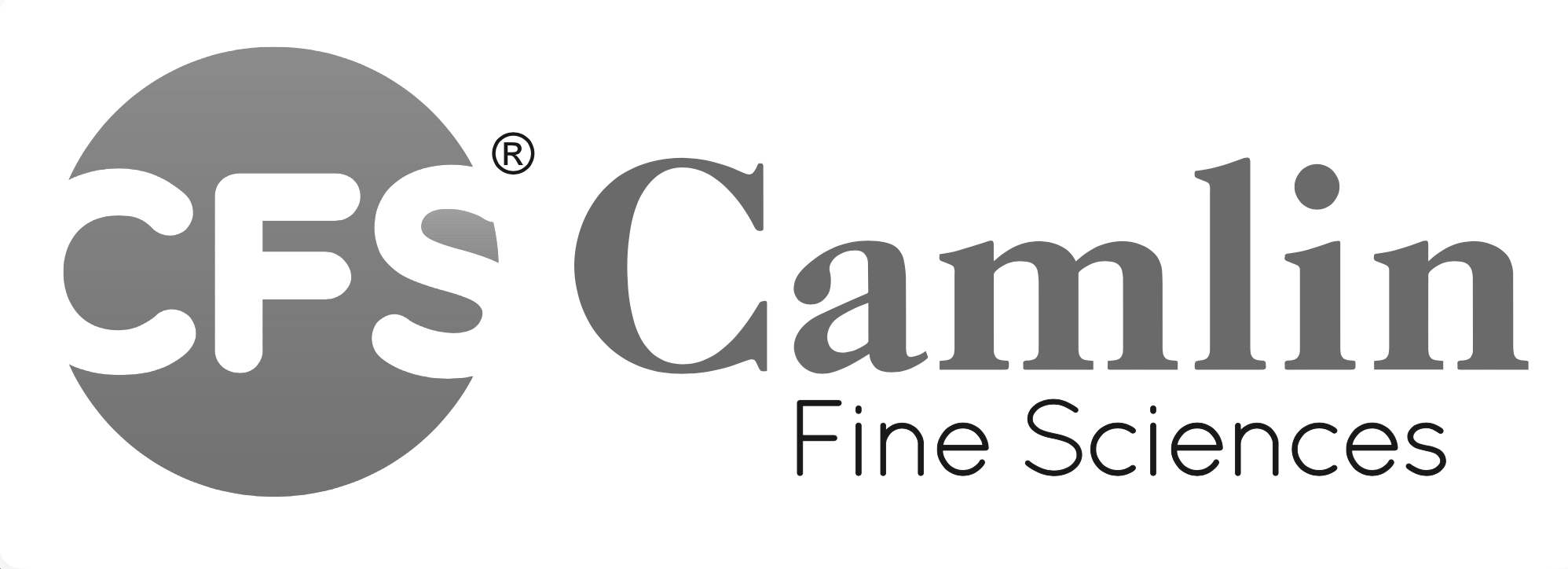 Camlin Fine Sciences