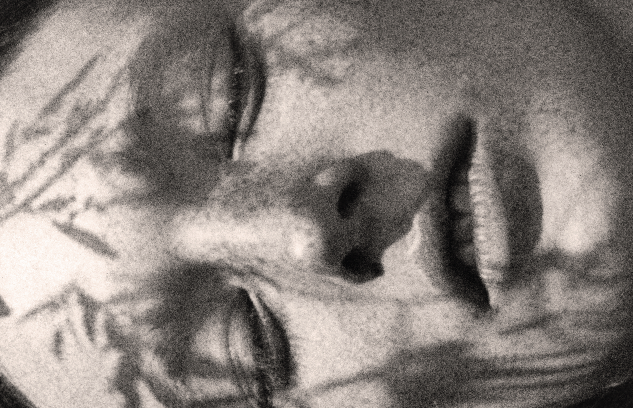 Screen Shot 2022-03-26 at 5.45.50 AM.png