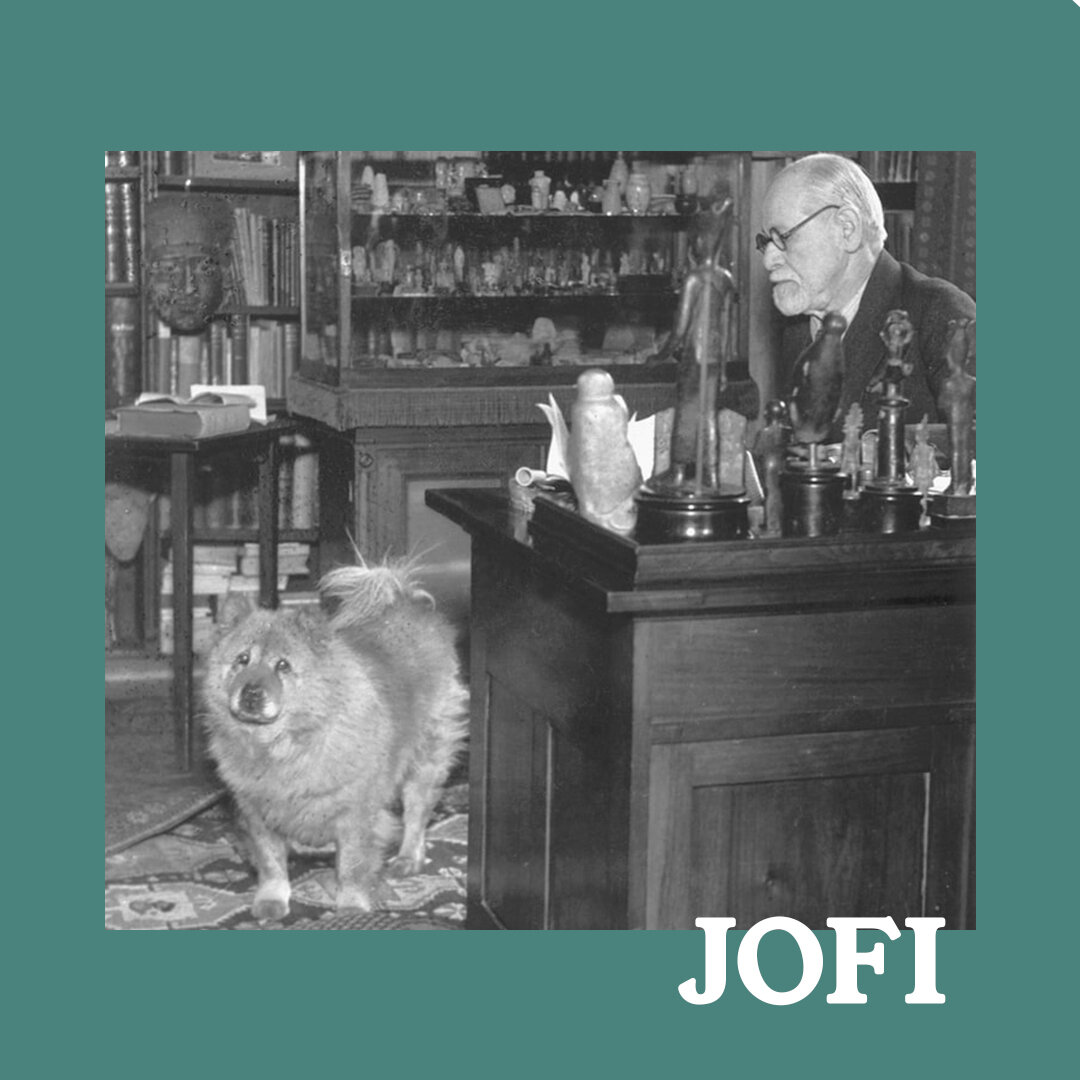Today we celebrate #InternationalWomensDay by acknowledging some of history's heroic female dogs for their extraordinary contributions and services to humankind.🐾 

Jofi: Sigmund Freud's pet - The first pup to officially be used in a therapeutic cap
