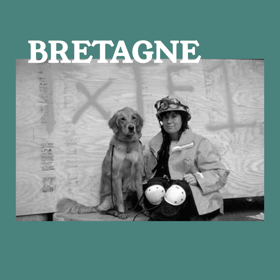Today we celebrate #InternationalWomensDay by acknowledging some of history's heroic female dogs for their extraordinary contributions and services to humankind.🐾

Bretagne: Her and her handler traveled from Texas to aid in the relief efforts in 9/1