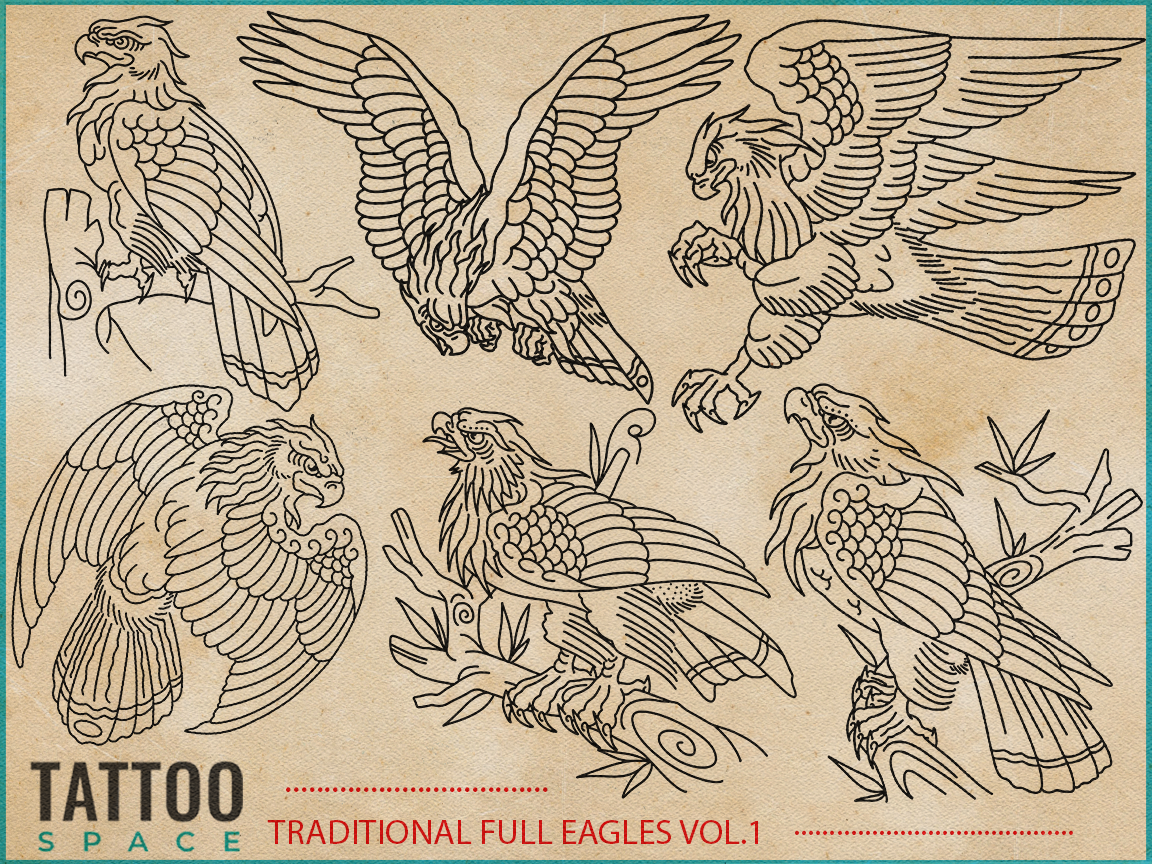 Traditional Eagle Tattoo Flash Brush Set — Tattoo Space