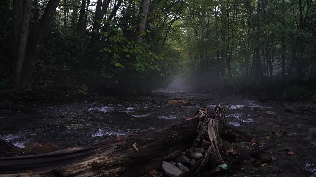 Watching my kids grow up has been the greatest experience of my life. 
Showing them how beautiful our planet is and teaching them how to respect and appreciate it. 
Shaping them everyday, to be the best versions of themselves. 
And I get to do it wit