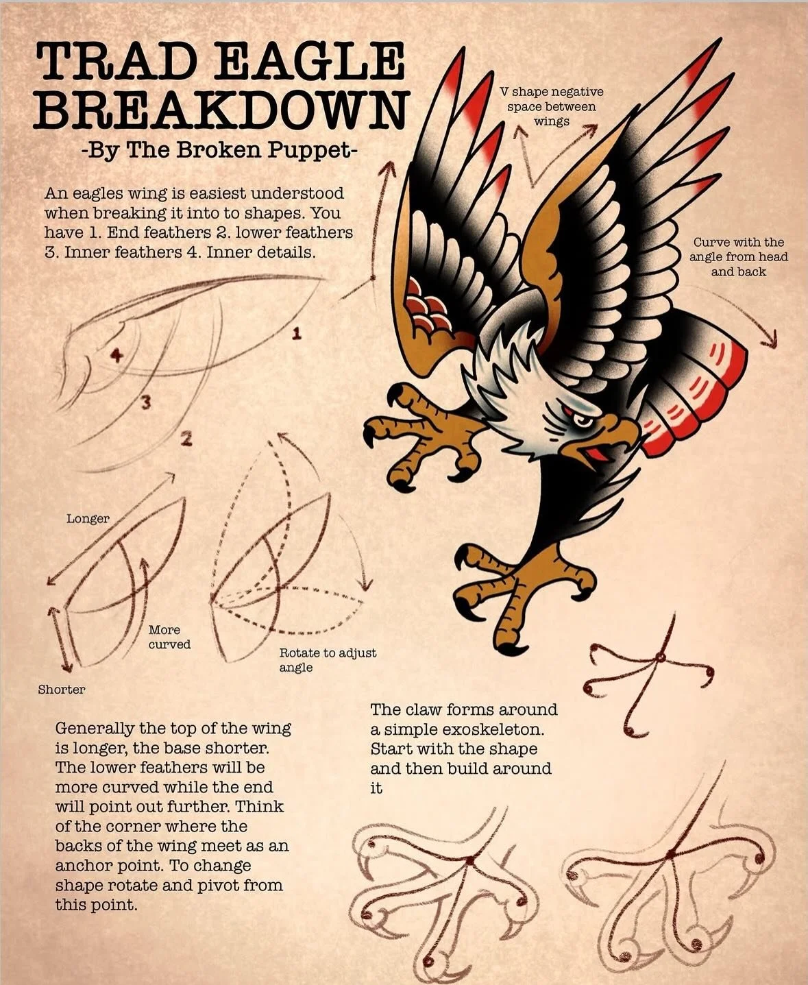 Eagles are a staple in traditional tattooing, but nailing that classic structure can be a challenge. 💪🏻

Understanding the foundational anatomy, from the curve of the wing to the &ldquo;exoskeleton&rdquo; of the claws, is what allows you to eventua