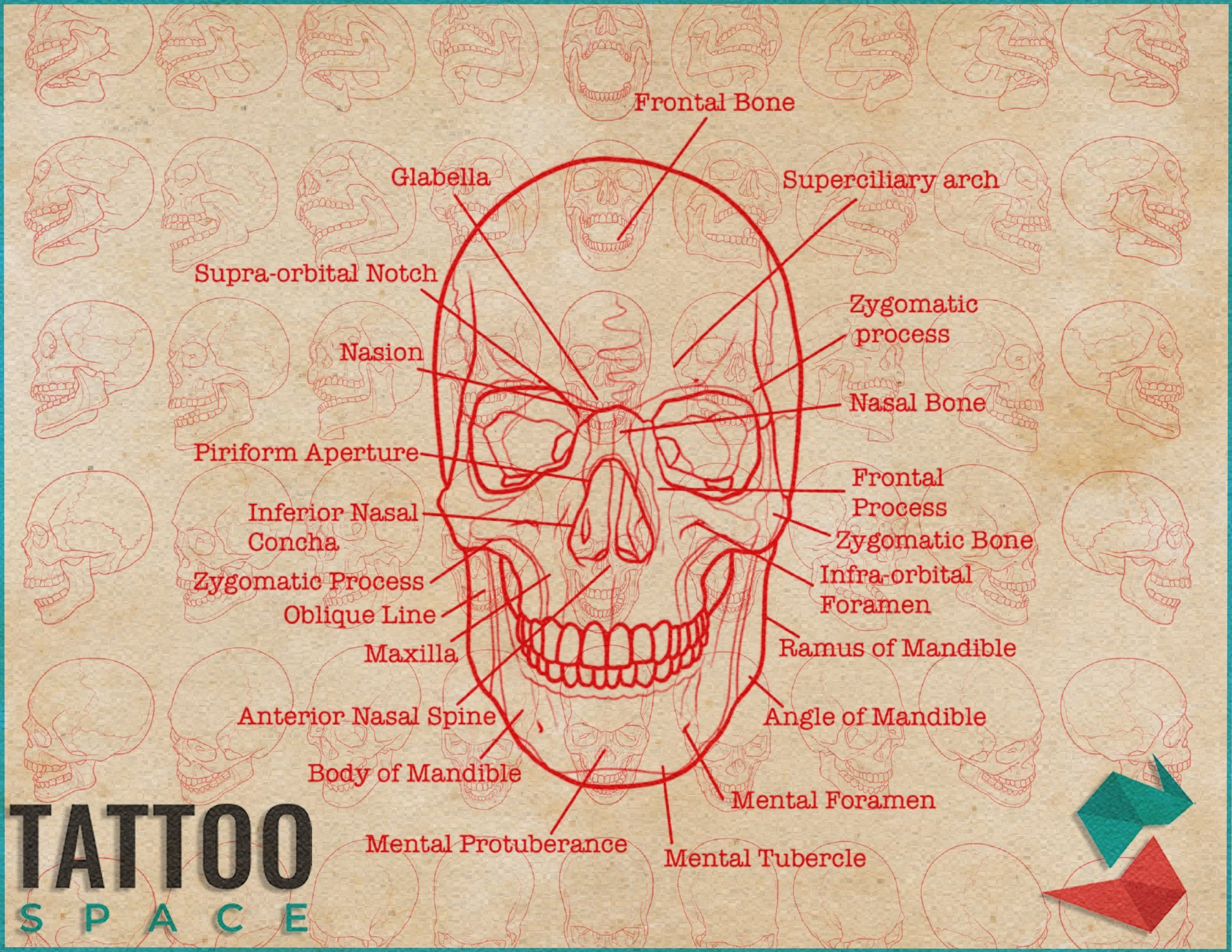 how to draw a skull tattoo