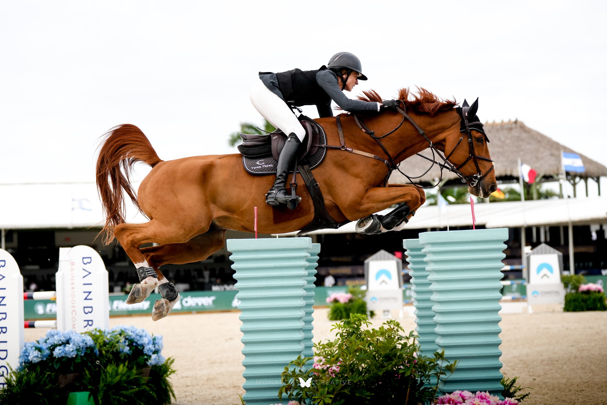 Cat_WEF9_Wed-10.jpg