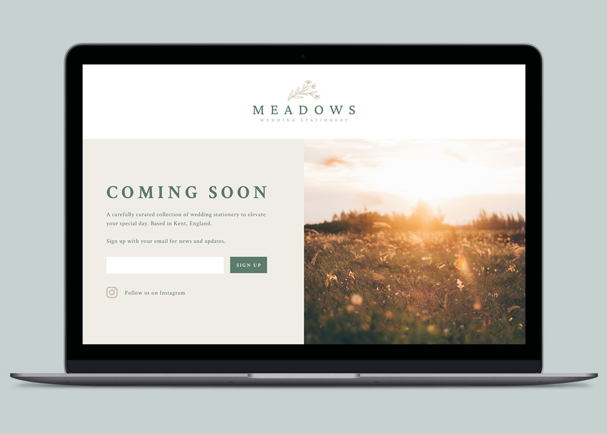 offpaper-website-meadows.jpg