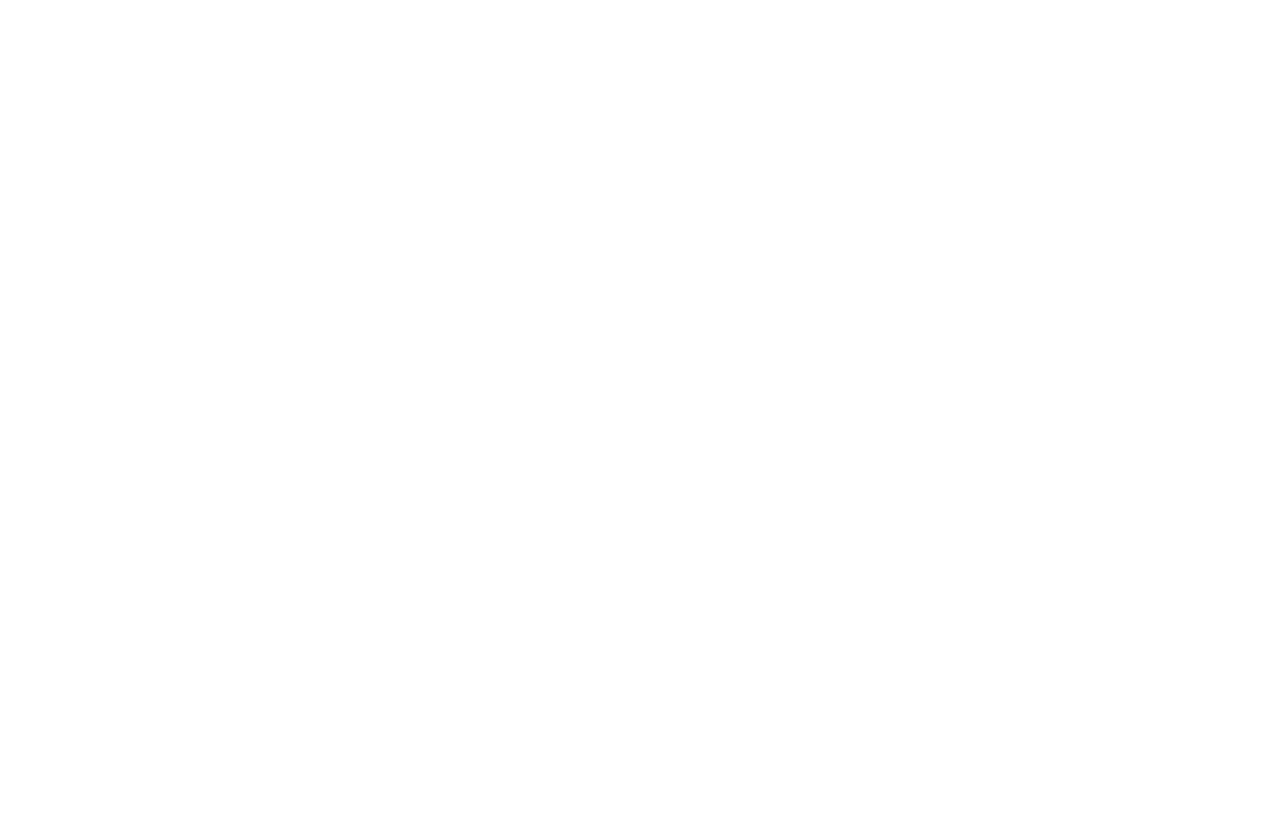 Fin Studio