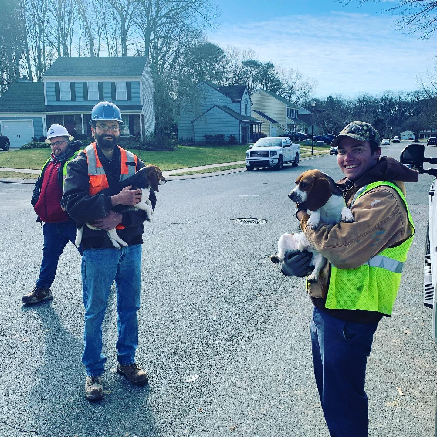 Had to round up some hounds that got loose at our Tolstoy Lane Stream Restoration in Severna Park, MD.  Joint effort by Pay Dirt&rsquo;s David Krause and BWPR&rsquo;s Joe Ports to get these pups home safe!