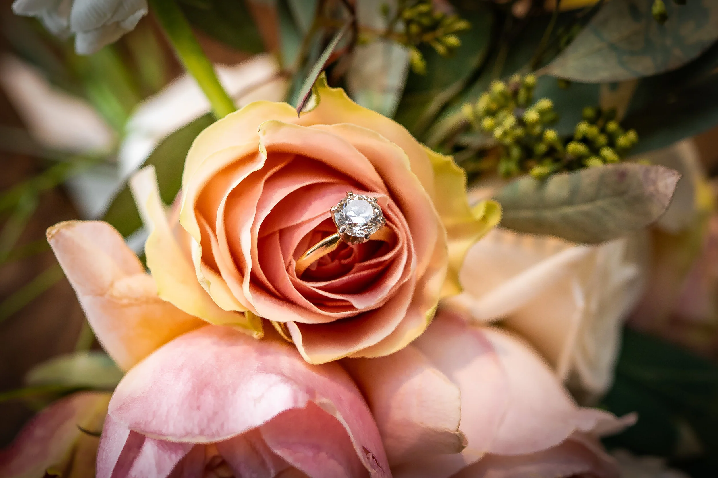 jeremy_friesen_wedding_photographt_diamond_rose.jpg