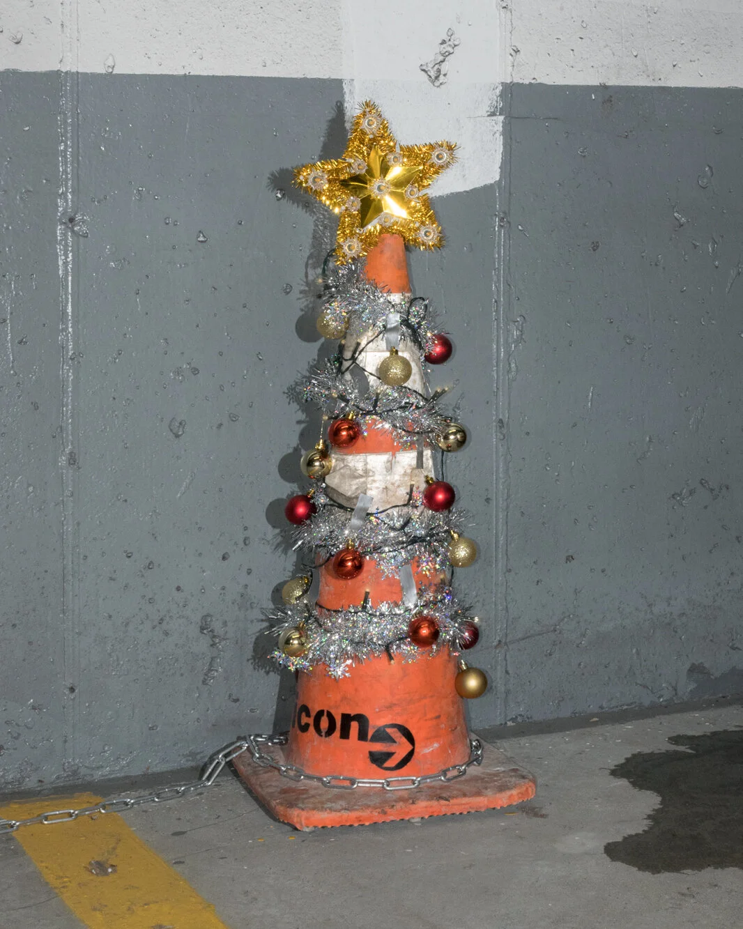 Personal_ParkingUnderTheMistletoe_006.jpg