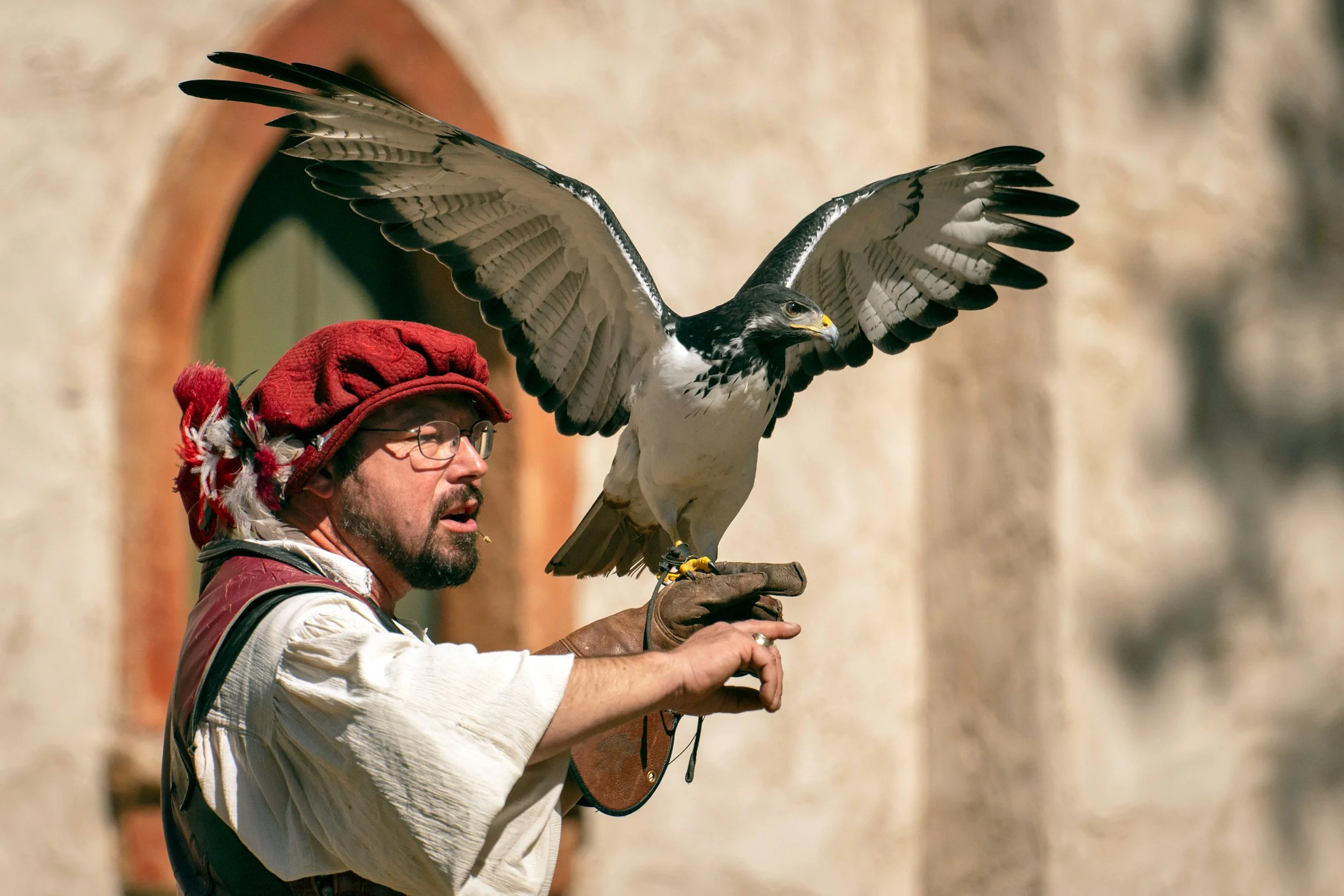 Z9A_0353 - Brian King - Falconry.jpg