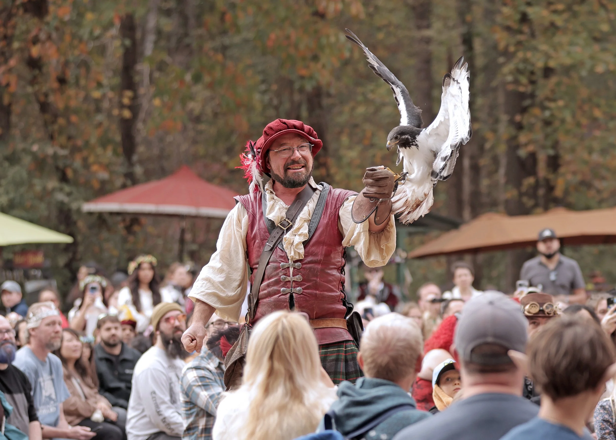 falconry - cropped 5x7 horiz.jpg