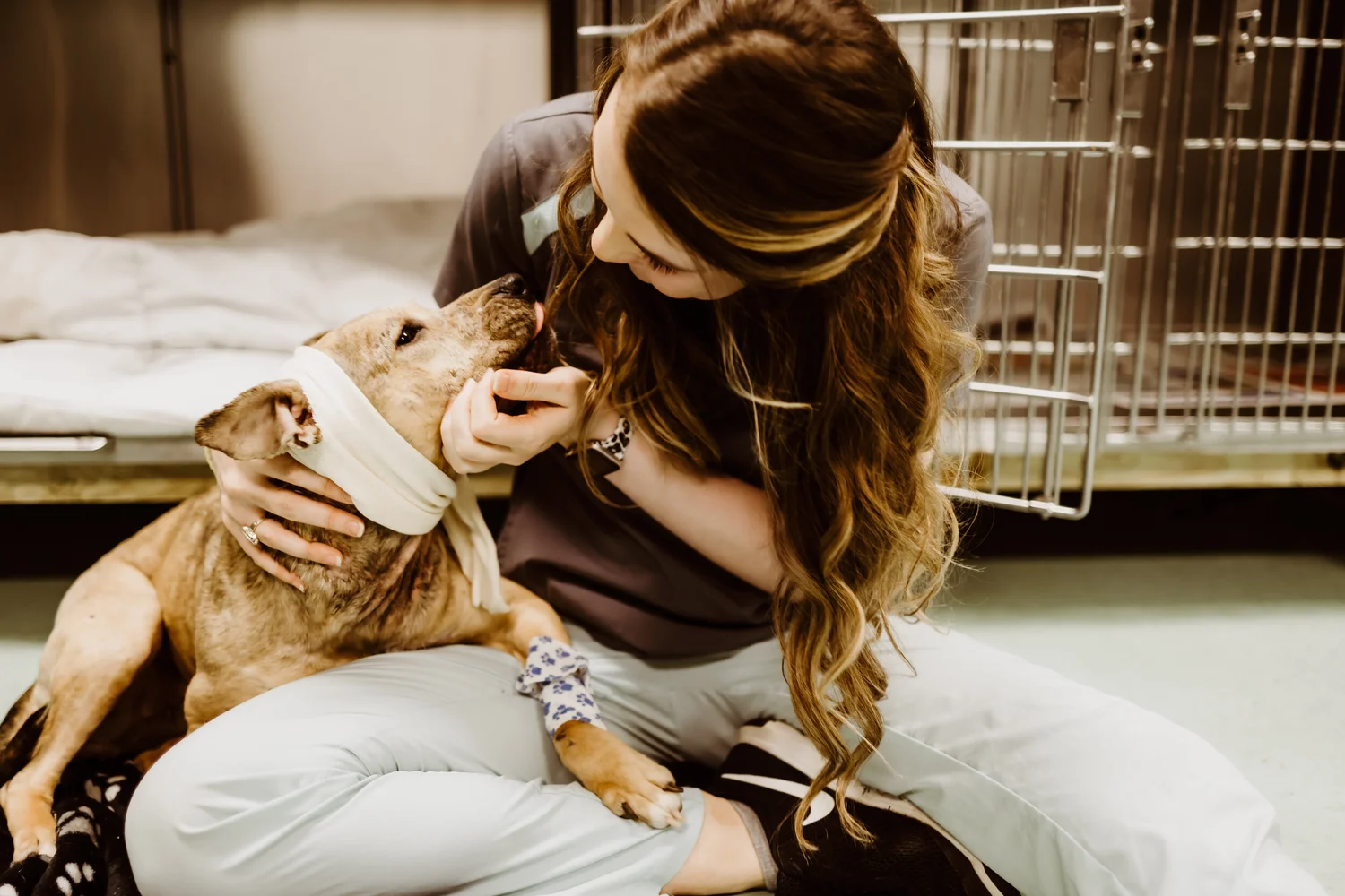 Carolina Place Animal Hospital Fort Mill