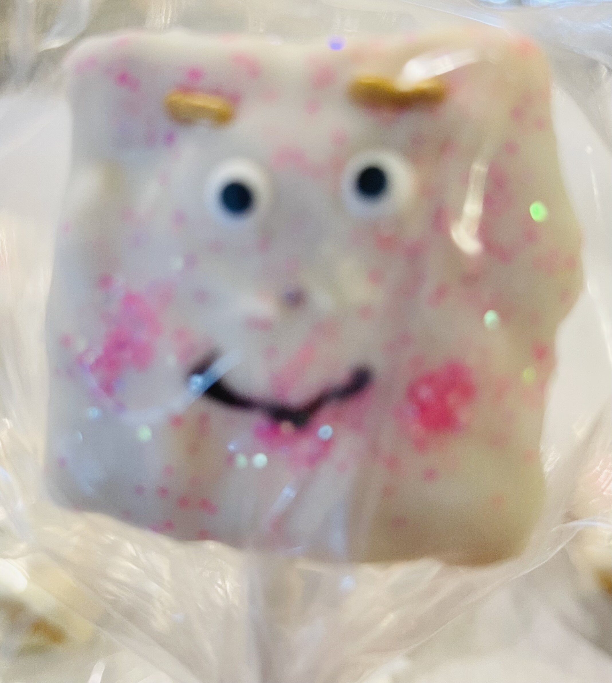 IMG-5330.jpeg