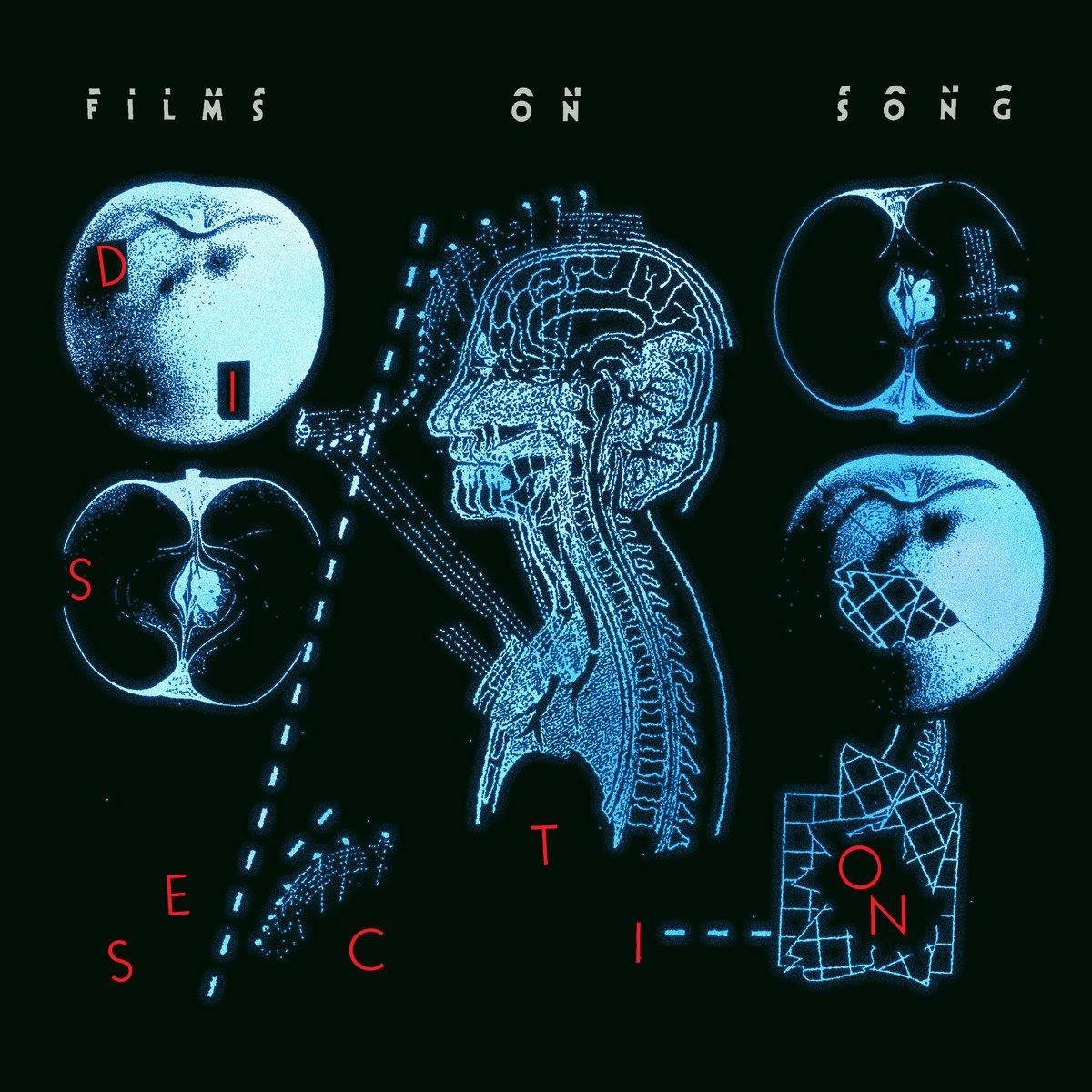 Films on Song