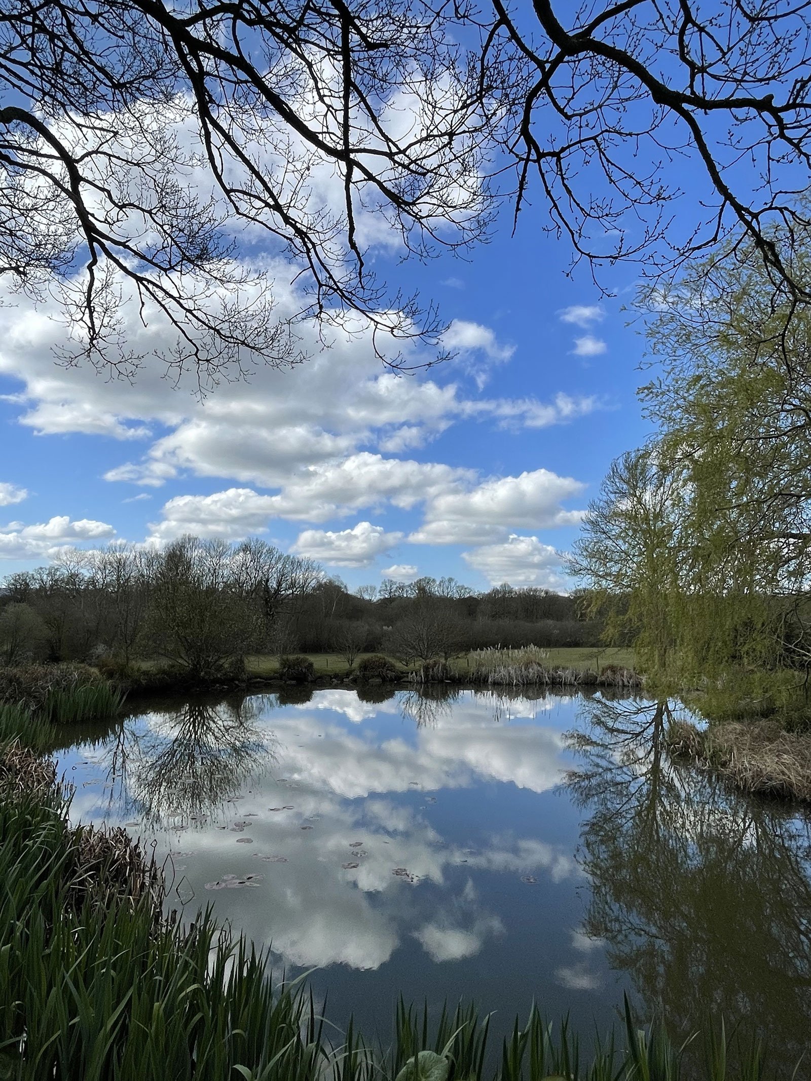 OPEN WATER SWIMMING