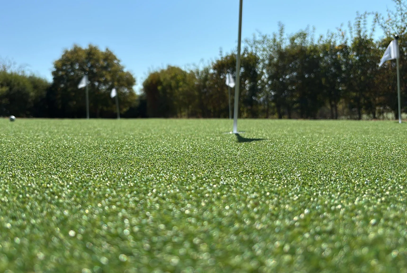 GOLF PUTTING 