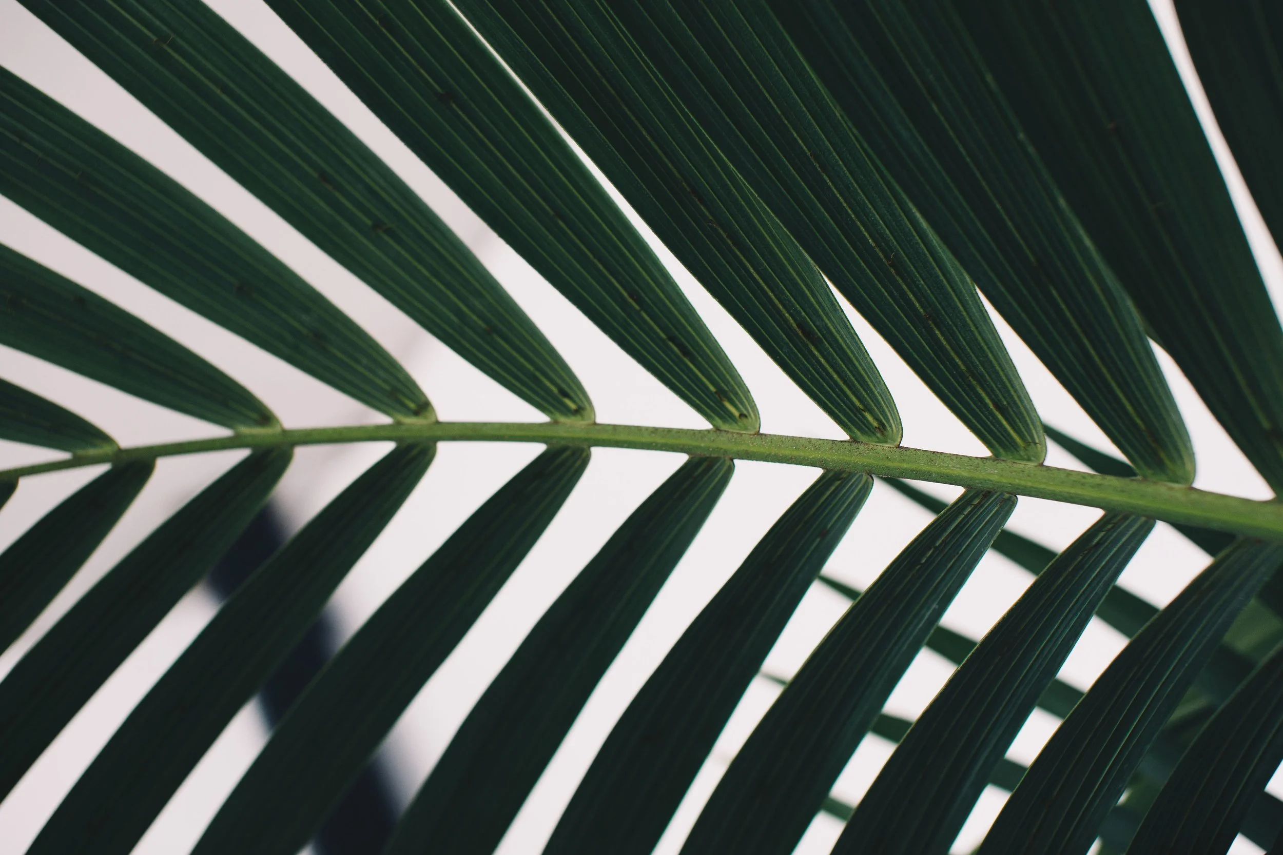 028A7511.jpg