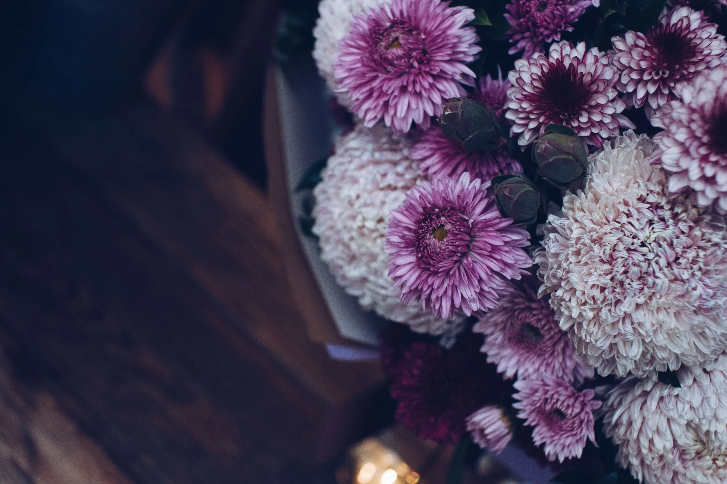 Lizzie Bees -  Florrest 