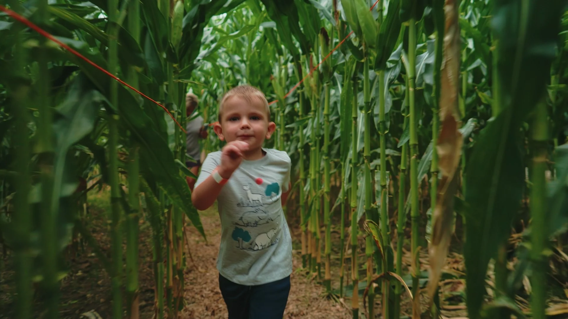 01-corn-cob-acres-corn-maze.jpg