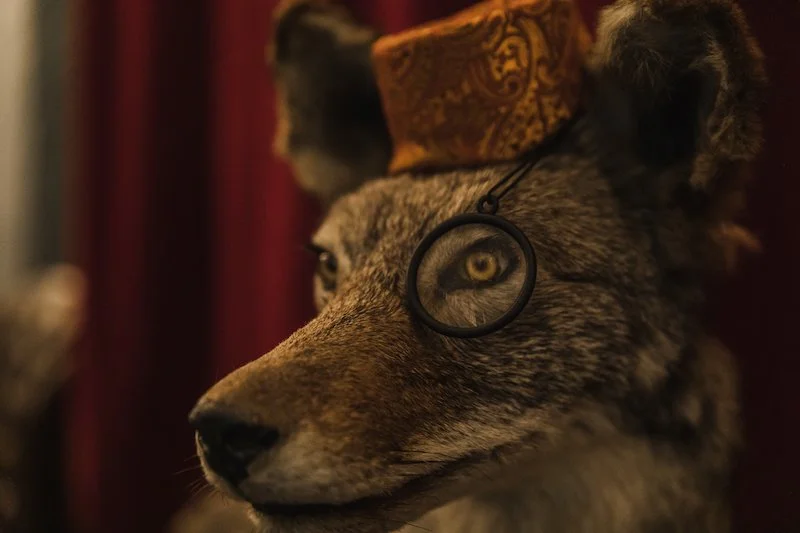 Bold Escape Rooms — Scary. Bold. Weird.