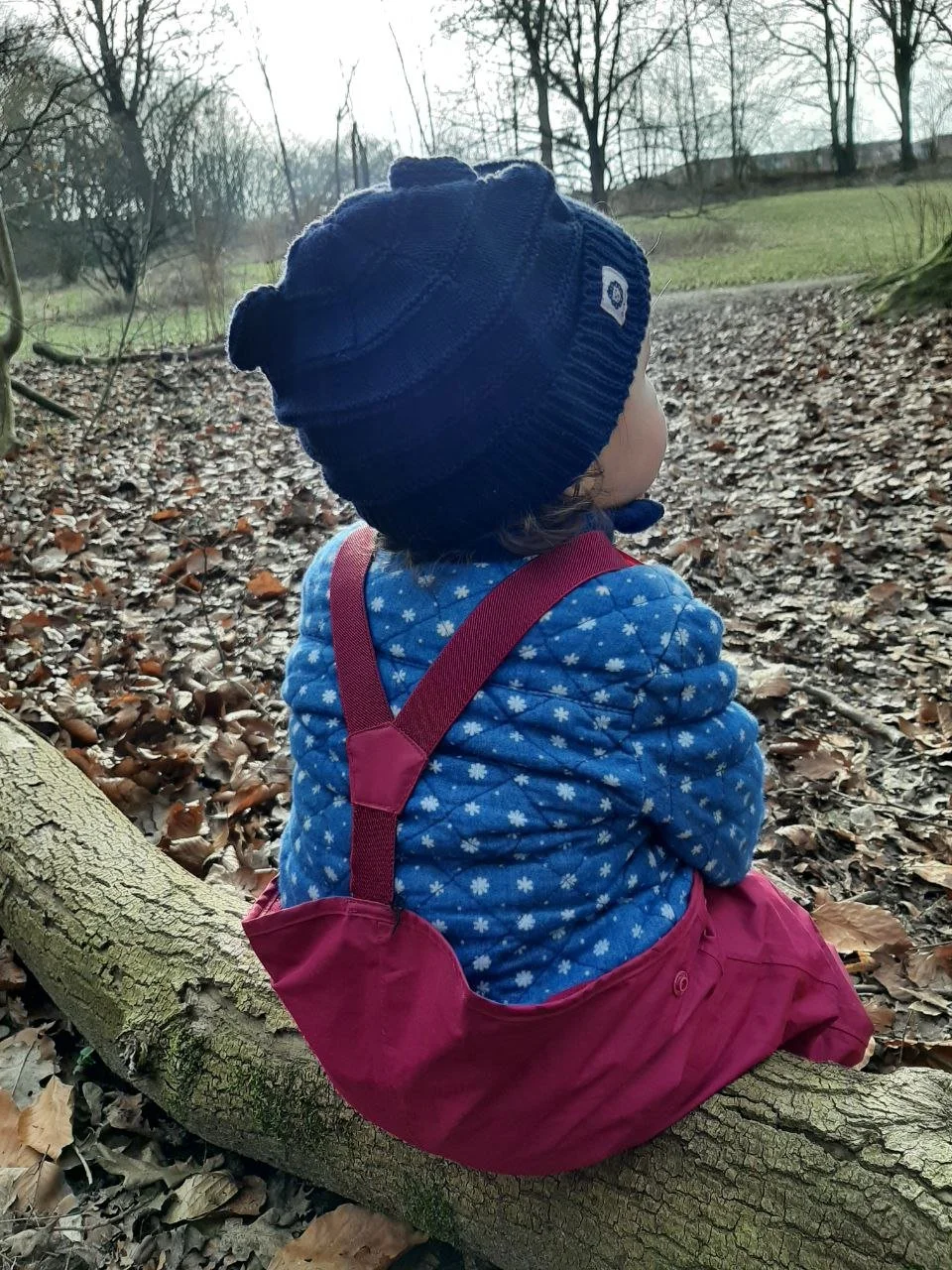 Ein Kind sitzt auf einem Baumstamm im Wald, trägt eine blaue Jacke mit weißen Blumen, eine rote Hose und eine dunkelblaue Mütze, und schaut in die Ferne.