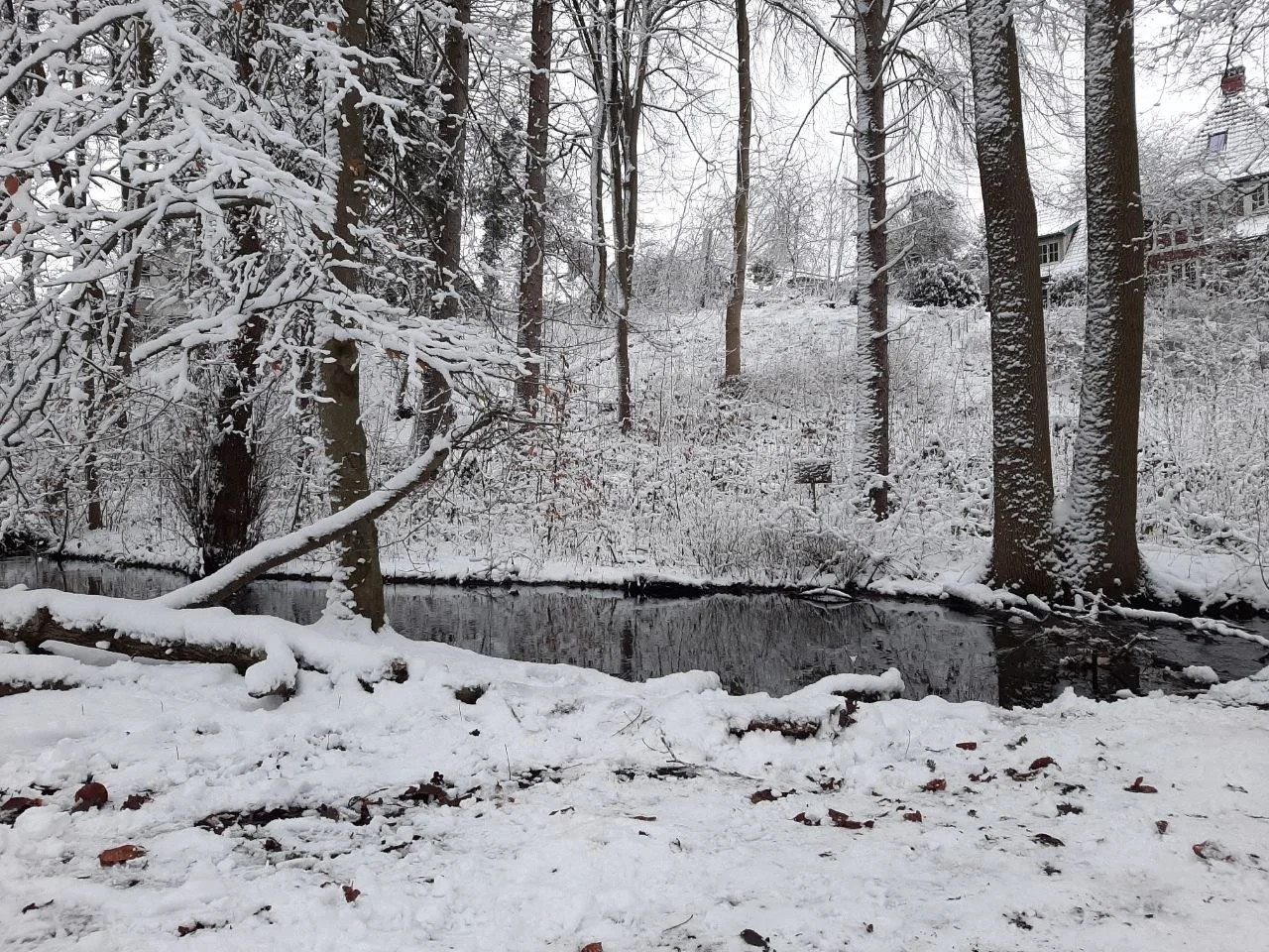Schneebedeckter Fluss im Winter mit Bäumen und Häuser im Hintergrund.