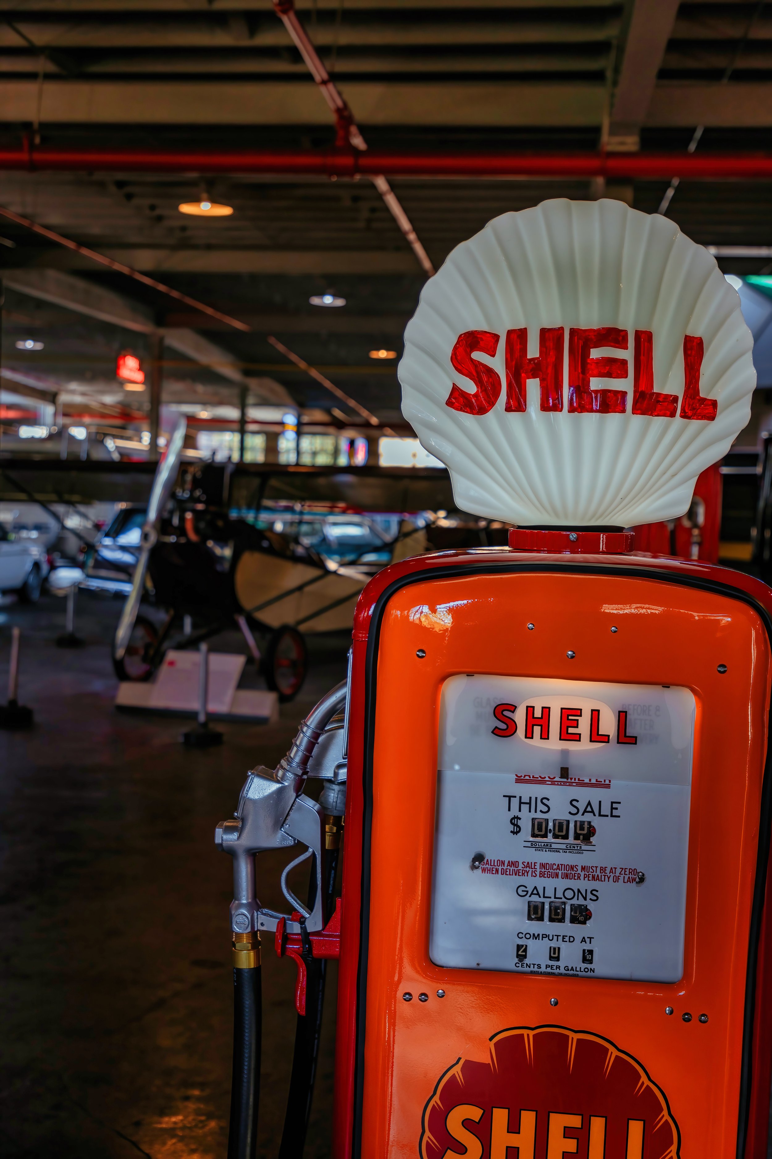 Shell 2.jpg