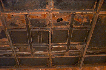 roof1.gif