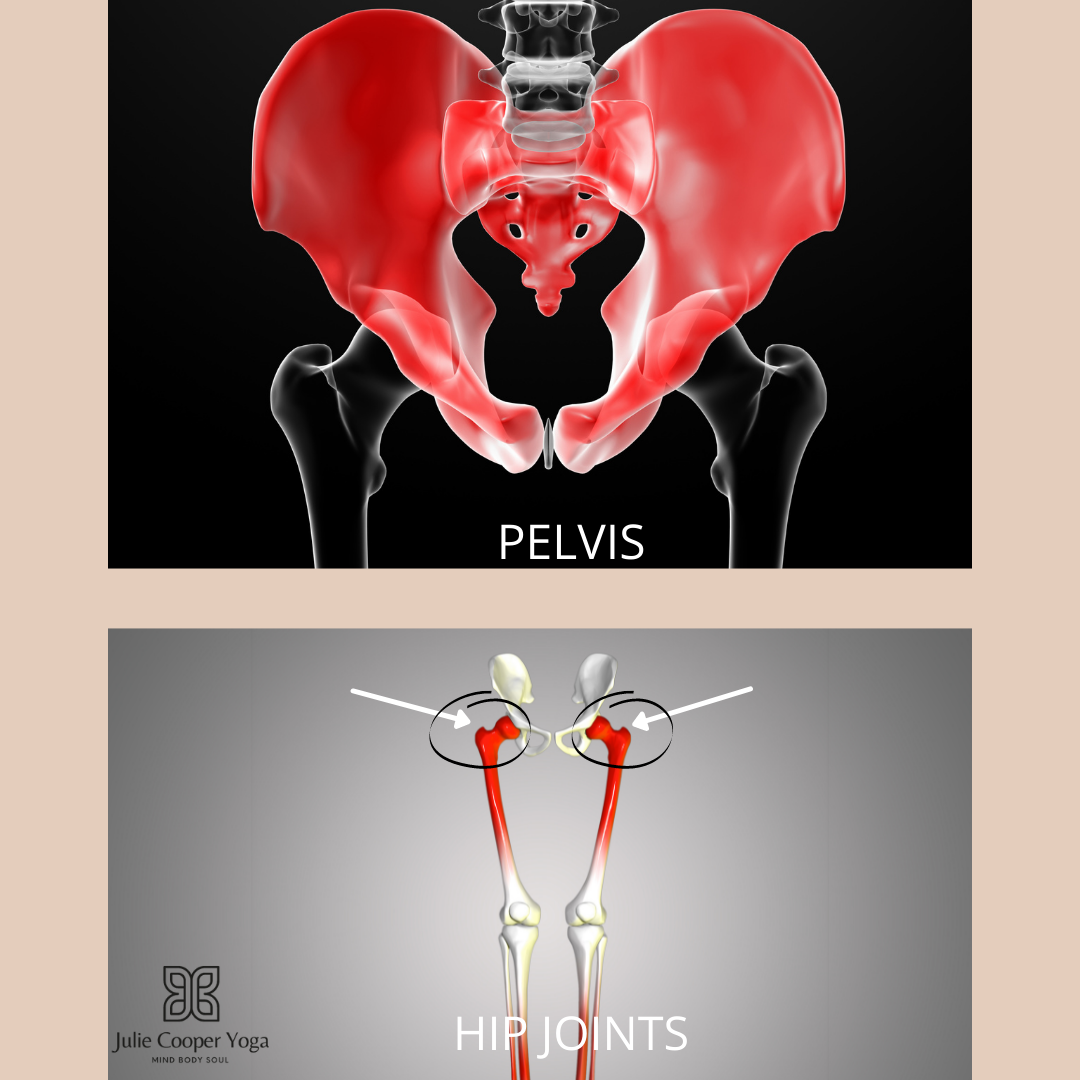Movement at the Pelvis versus the hip joints….do you know the difference?