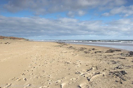 alnmouth-08-feb-2006-can-20d-0008.jpg