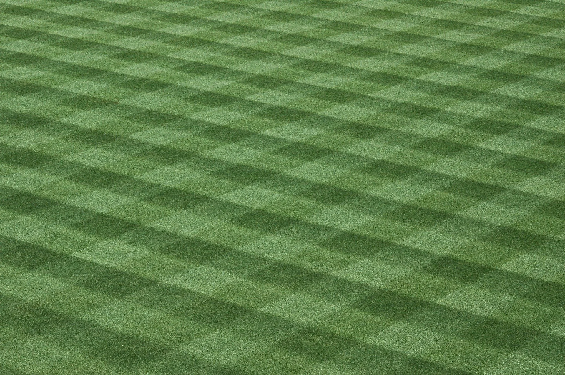 grass background.jpg