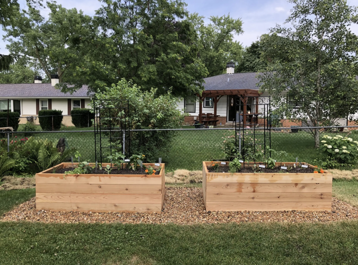 Photo and Foodscape Credit: Sophia Hasan, Culinary Gardens