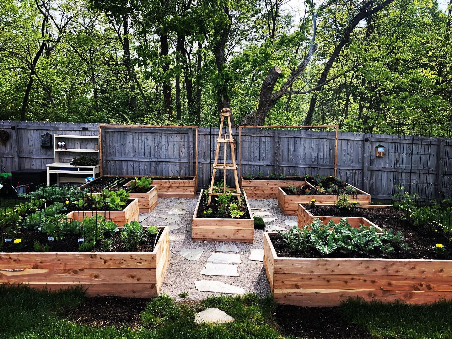 Custom Foodscaping - cedar raised beds