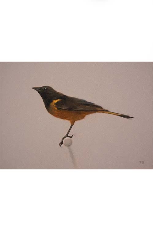 Color and Value (Online Workshop) Spring 2026 w/ Tony Bevilacqua