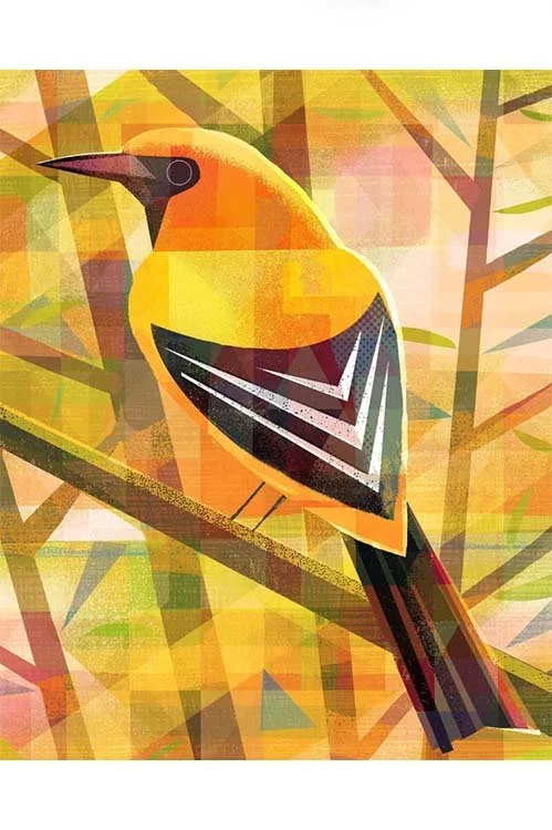 Gareth Lucas Summer 2026 ad 1 Penn Studio School.jpg