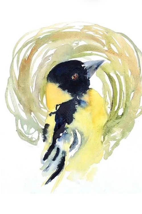 Capturing Birds in Watercolor (Online Workshop) Fall 2026 w/ Michelle Detering