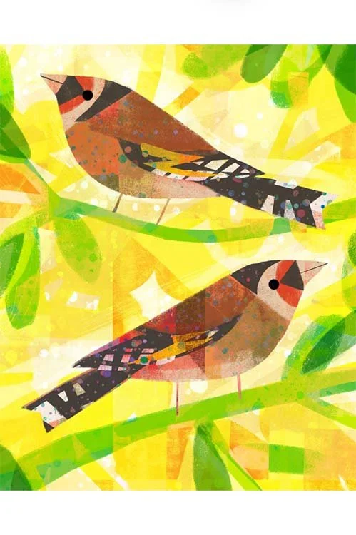 Painting Birds in Photoshop (Online Workshop) Summer 2026 w/ Gareth Lucas
