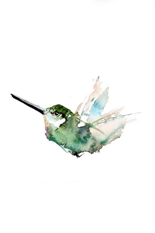 Capturing Birds in Watercolor (Online Workshop) Fall 2026 w/ Michelle Detering