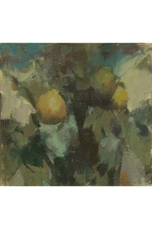 A Moment of Observation (Online Course) Fall 2026 w/ Adam Cohn