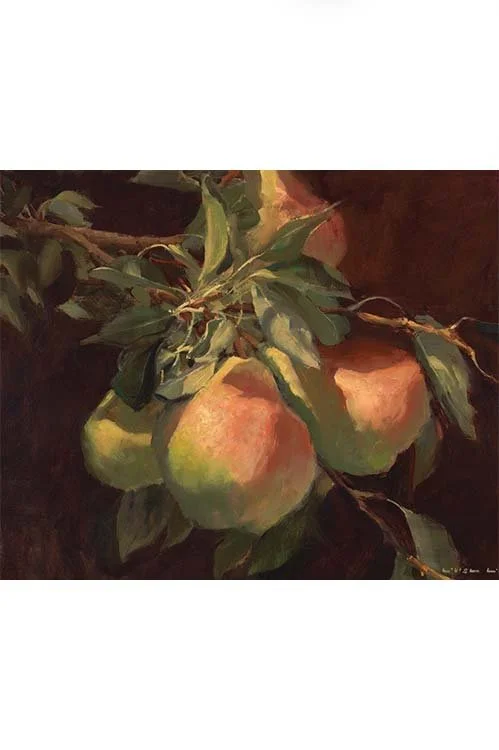 Louisa Lorenz Fall 2026 ad 1 Penn Studio School.jpg